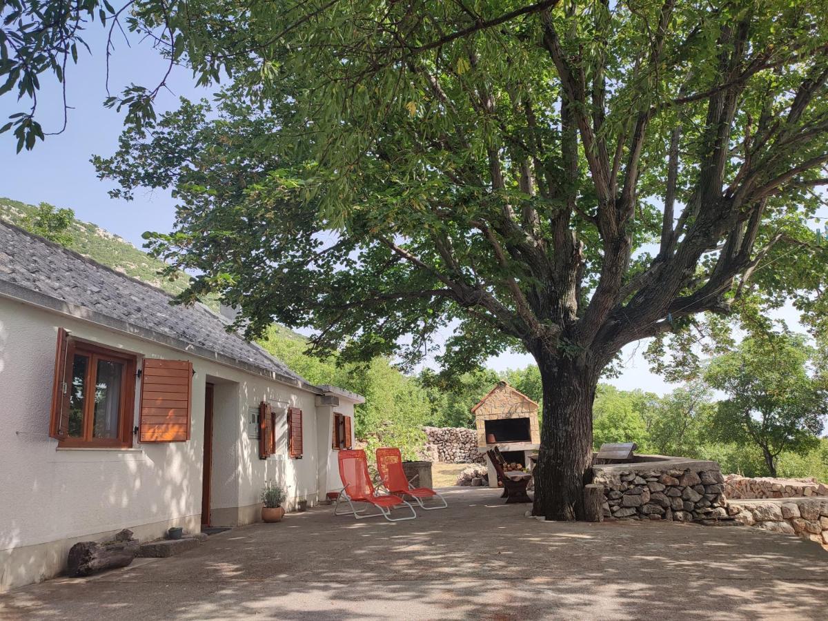 Holiday Home Lucija "" Private House With Pool "" Jablanac Esterno foto